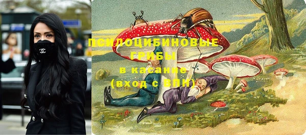 ГАЛЛЮЦИНОГЕННЫЕ ГРИБЫ Лихославль