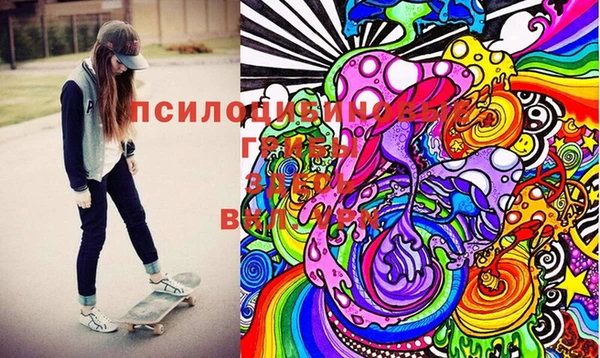 ГАЛЛЮЦИНОГЕННЫЕ ГРИБЫ Лихославль