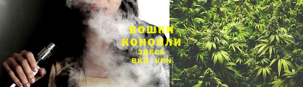 прущие грибы Лиски